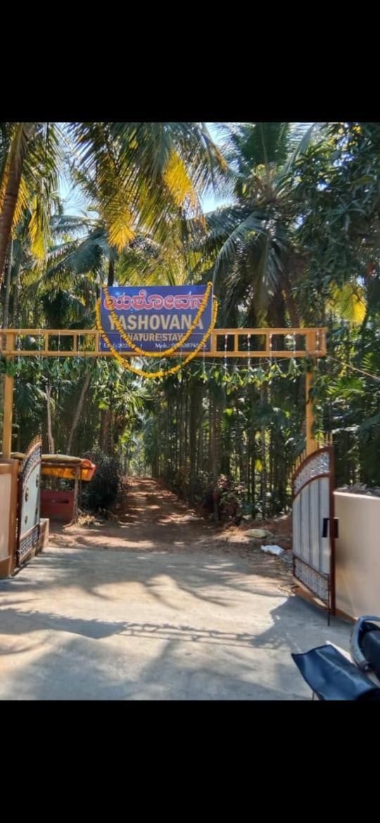 Yashovana Nature Stay Gokarna Exteriör bild