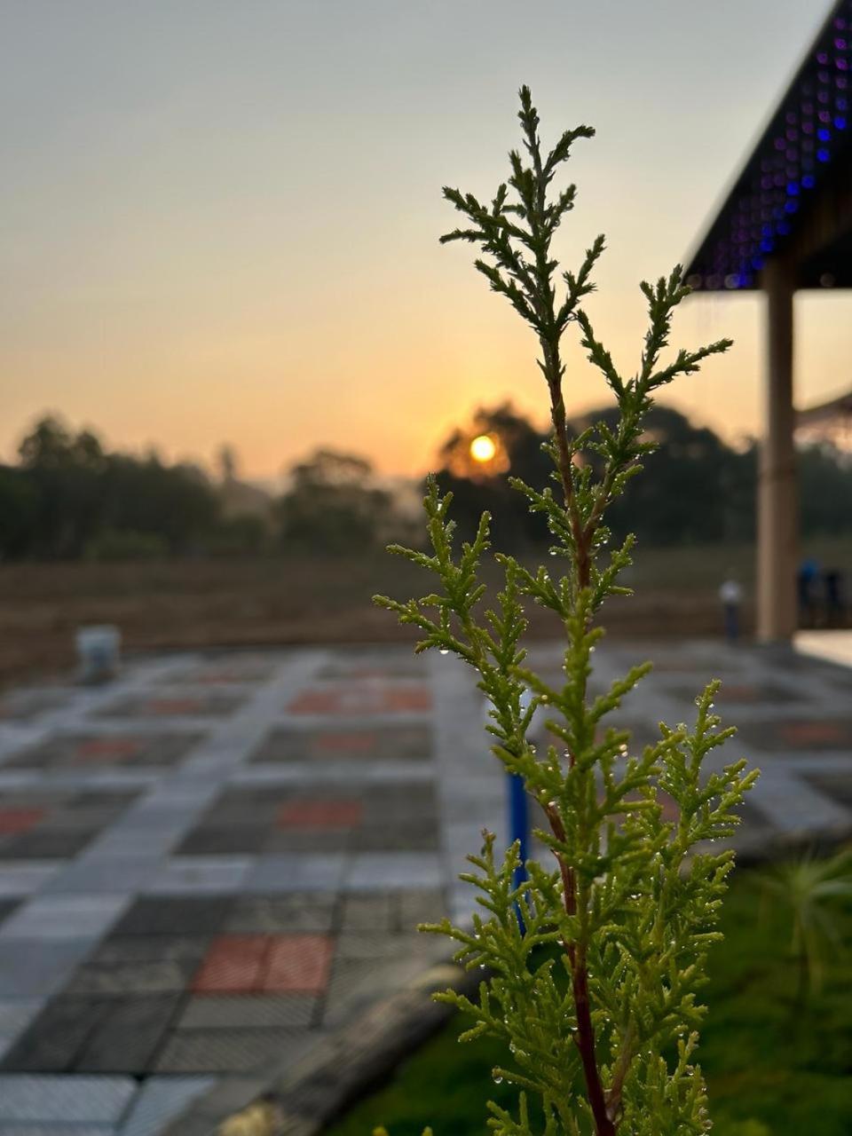 Yashovana Nature Stay Gokarna Exteriör bild